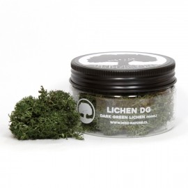 Mini Nature: Lichen DG