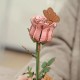 Miniatura Armable TW041: Pink Rose