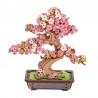 Miniatura Armable TG415: Sakura Bonsai de Madera
