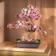 Miniatura Armable TG415: Sakura Bonsai de Madera