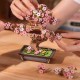 Miniatura Armable TG415: Sakura Bonsai de Madera