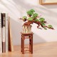 Miniatura Armable TG510: Bonsai Evergreen Pine