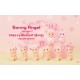 Sonny Angel: Hanami Series