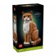 LEGO: 21376 - Gato Naranja