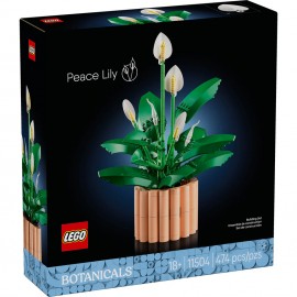 LEGO: 75639 - One Piece: Barco Pirata Going Merry