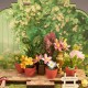 Miniatura Armable DS049: Green Fountain Garden