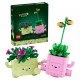 LEGO: 11506 - Plantas Bailarinas